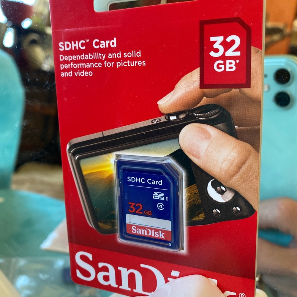 *SanDisc SDHC Card*